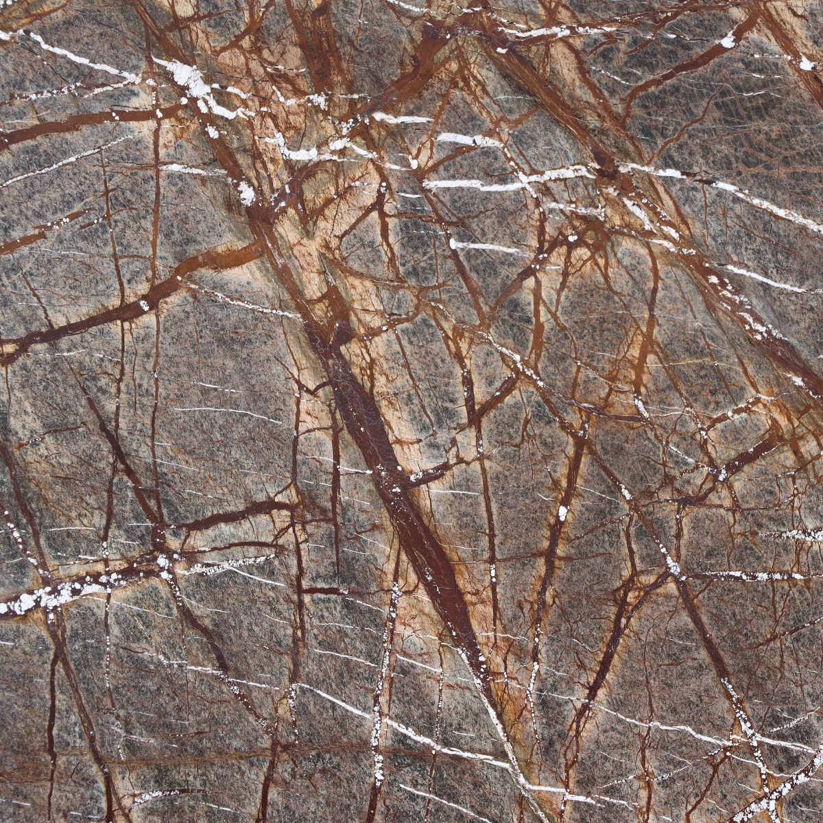 Rainforest Brown Mermer