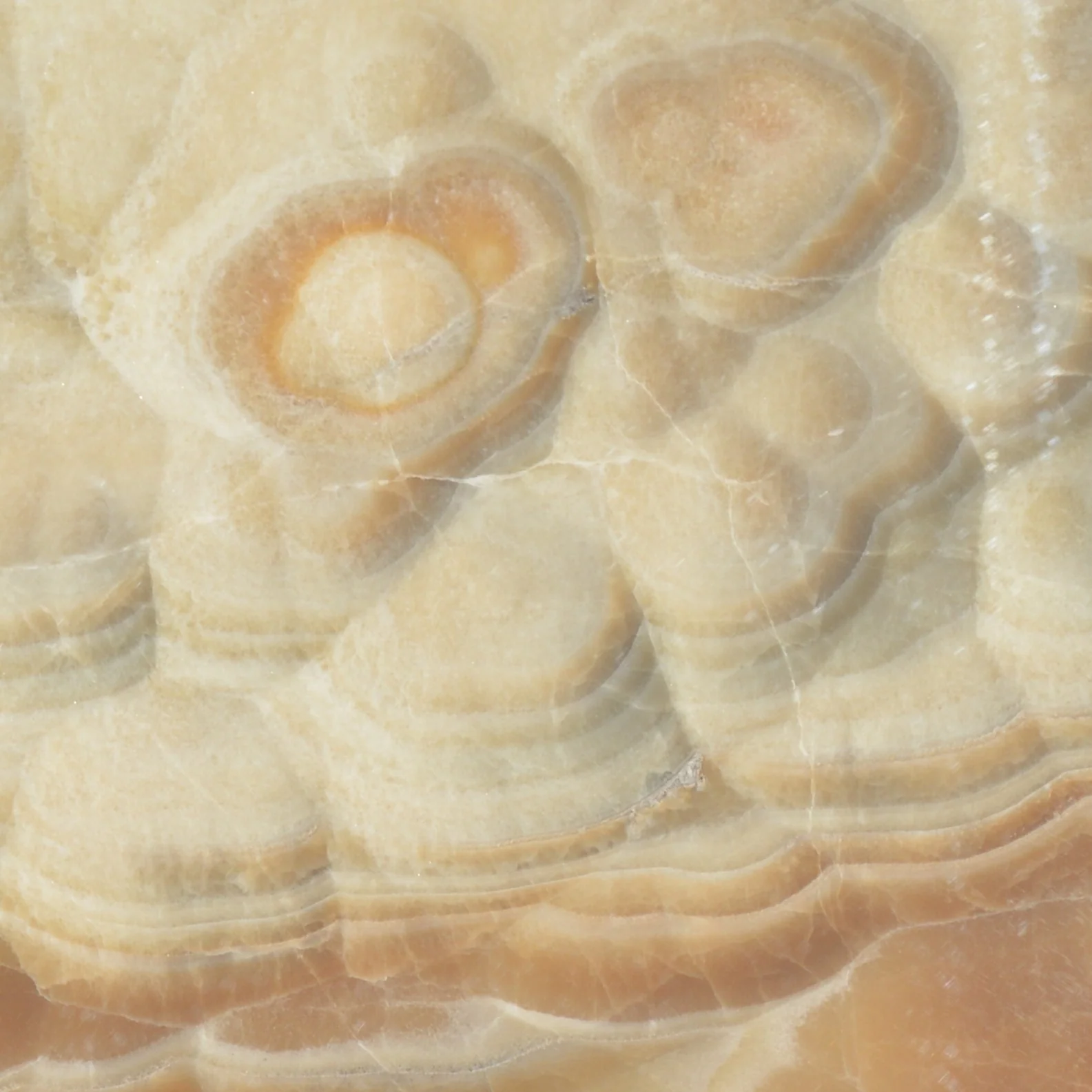 Ónix Bubble