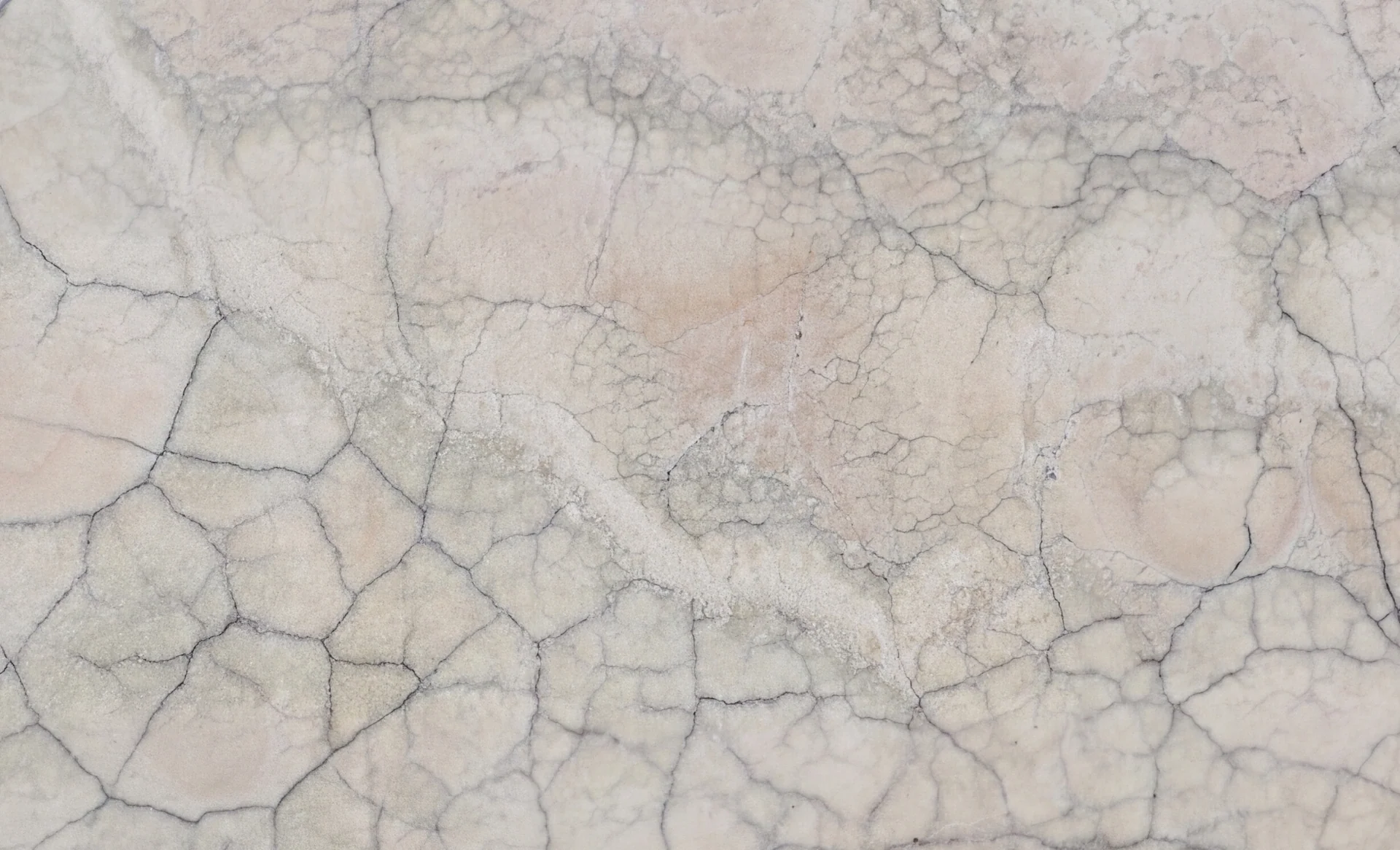 Turtle Onyx Slab