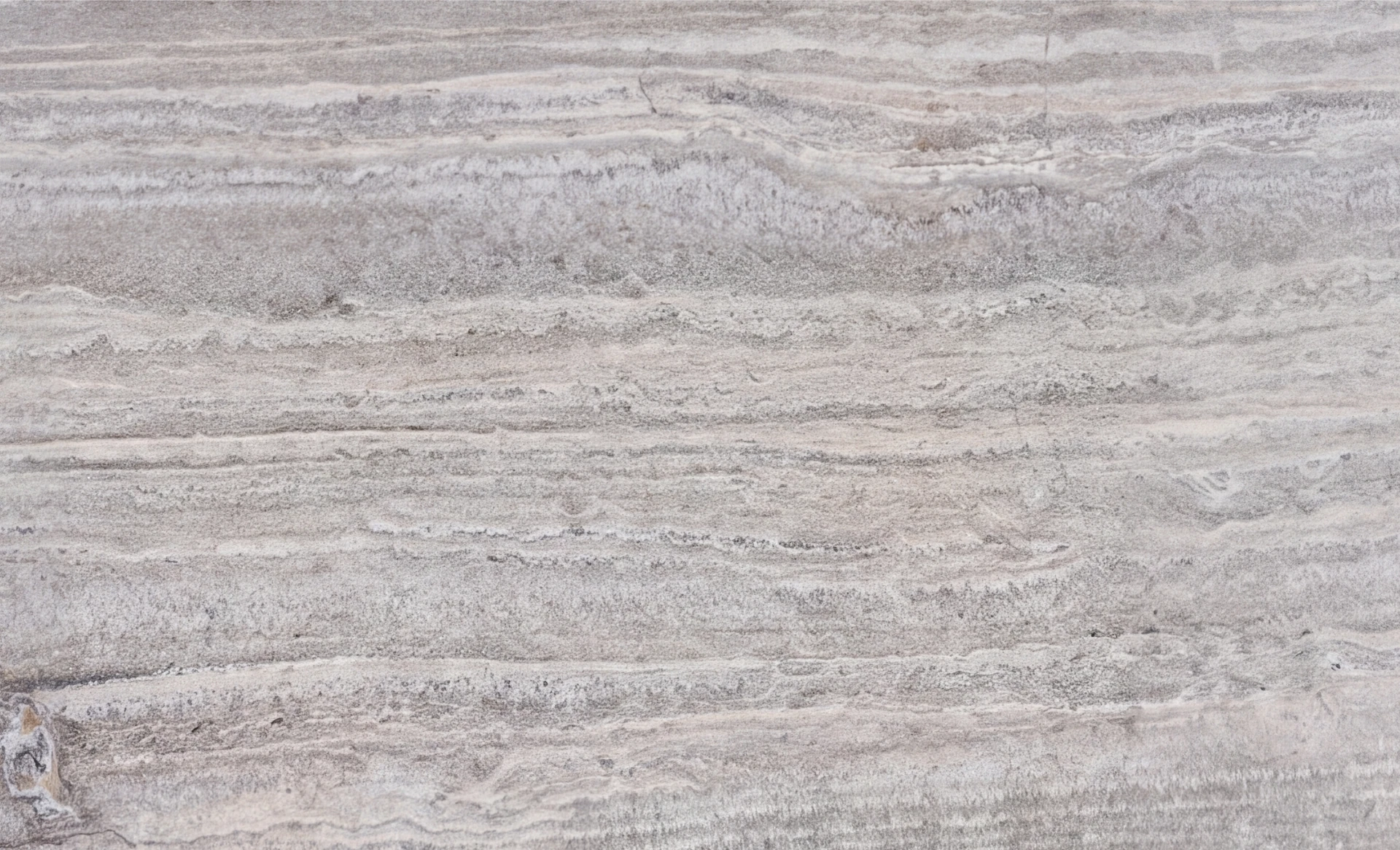 Gümüş Traverten Vein Cut Premium Plaka