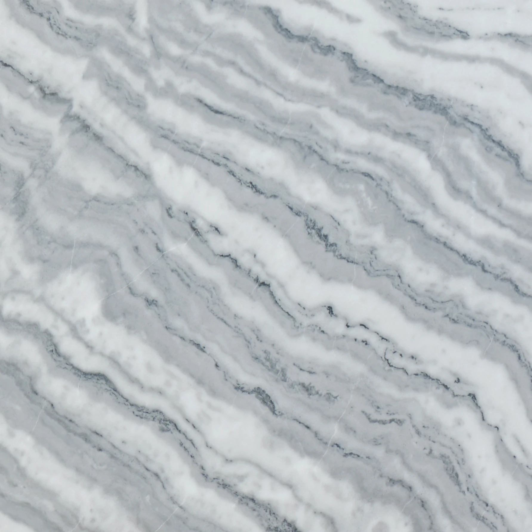 Zebra White Mermer thumbnail 2