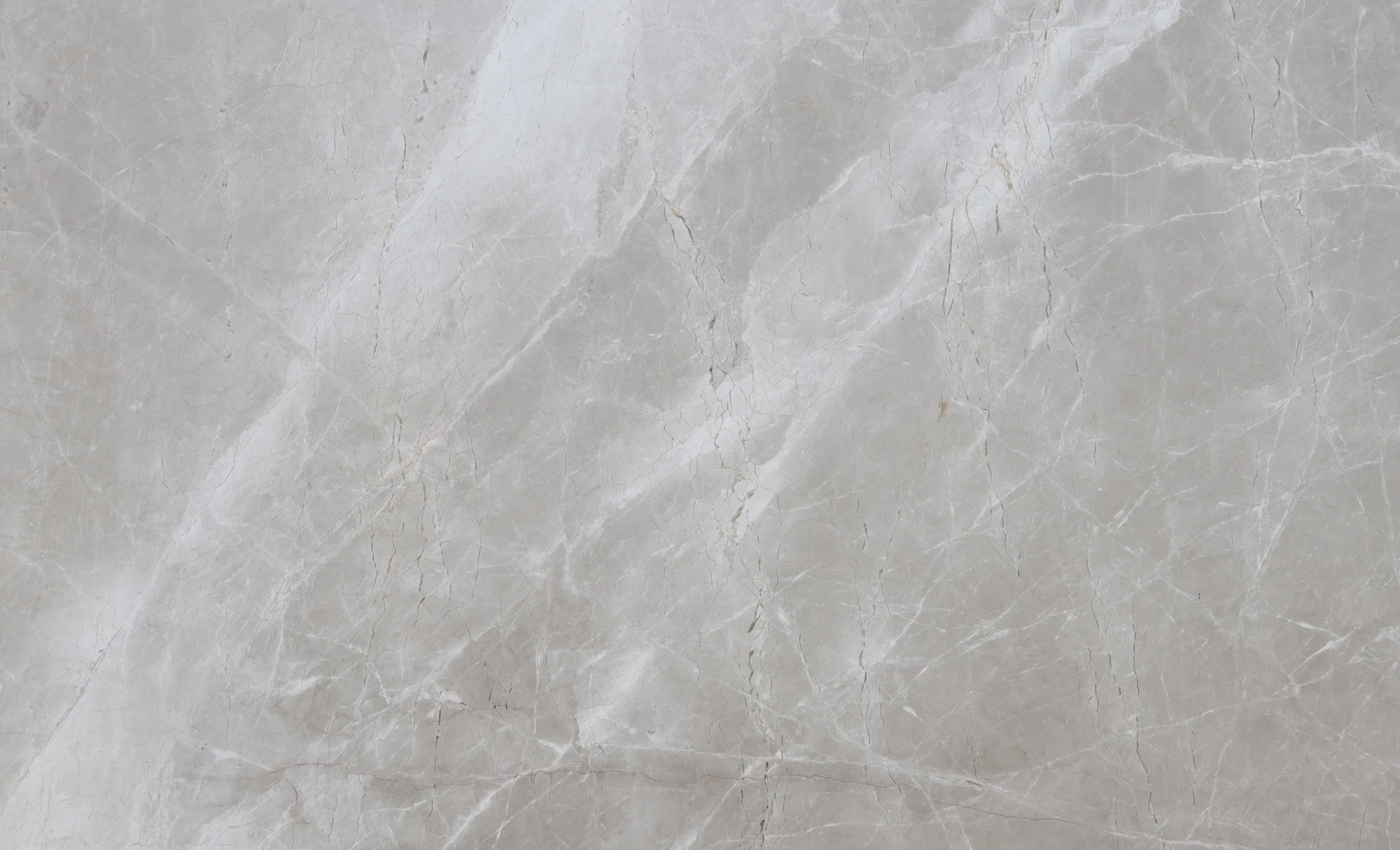 Marbre Mist Gray Beige Tranche