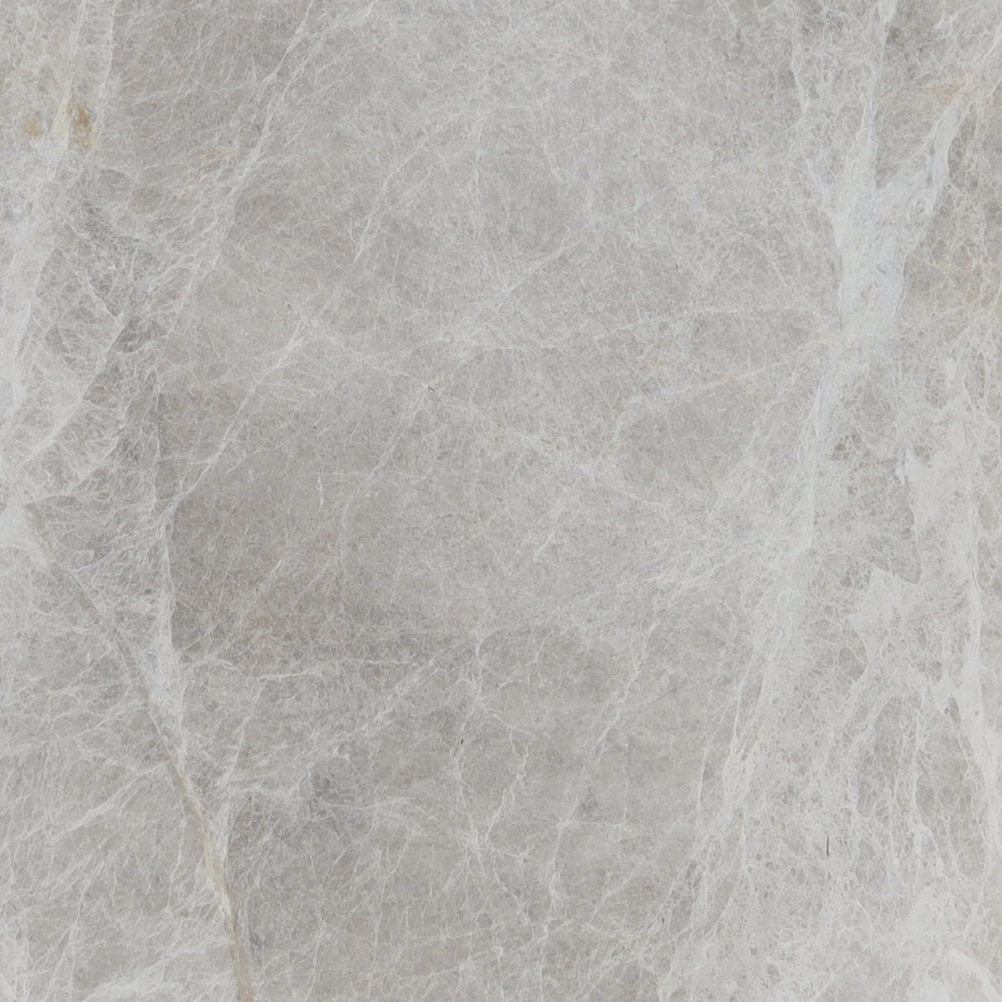 Spider Beige Marble thumbnail 2