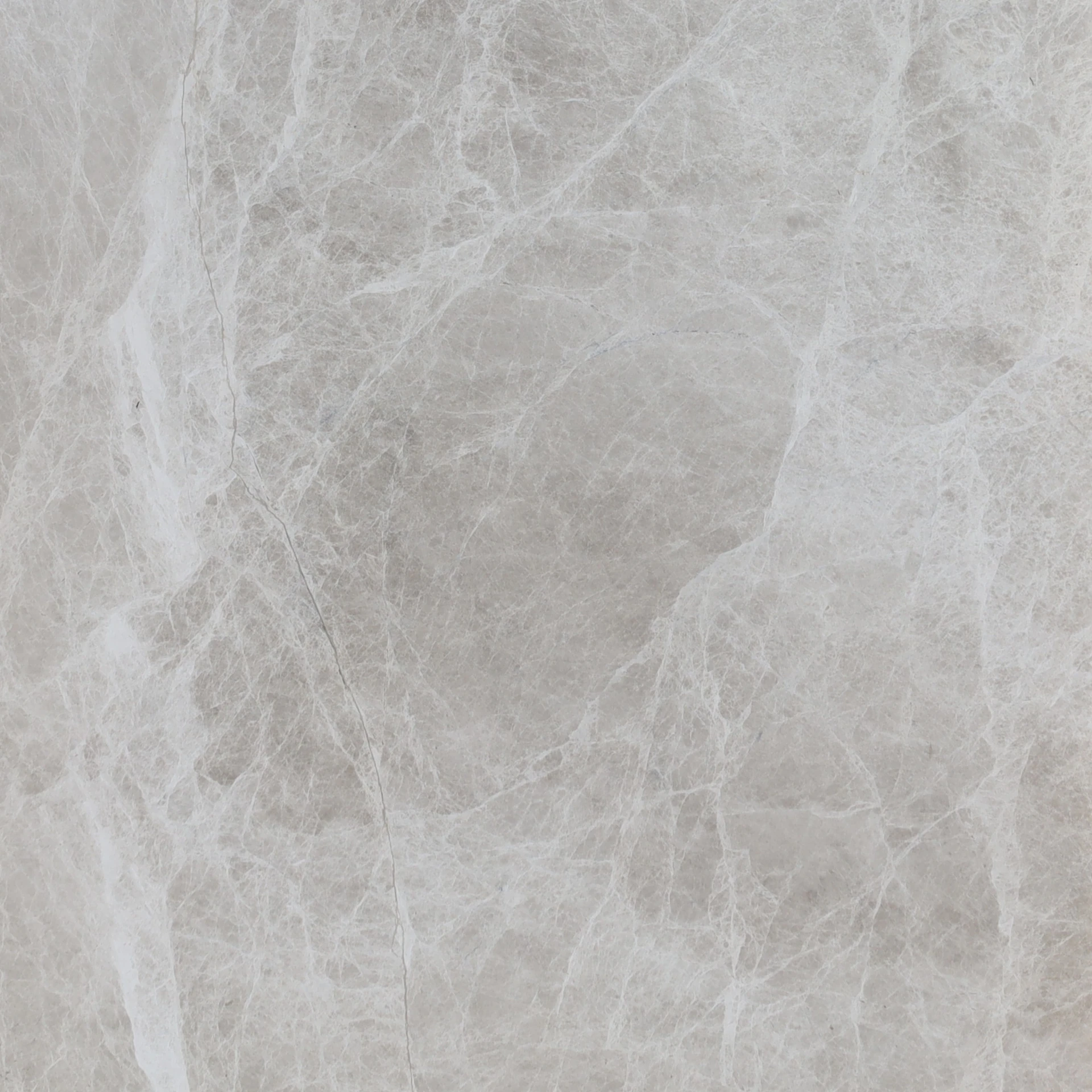 Spider Beige Marble