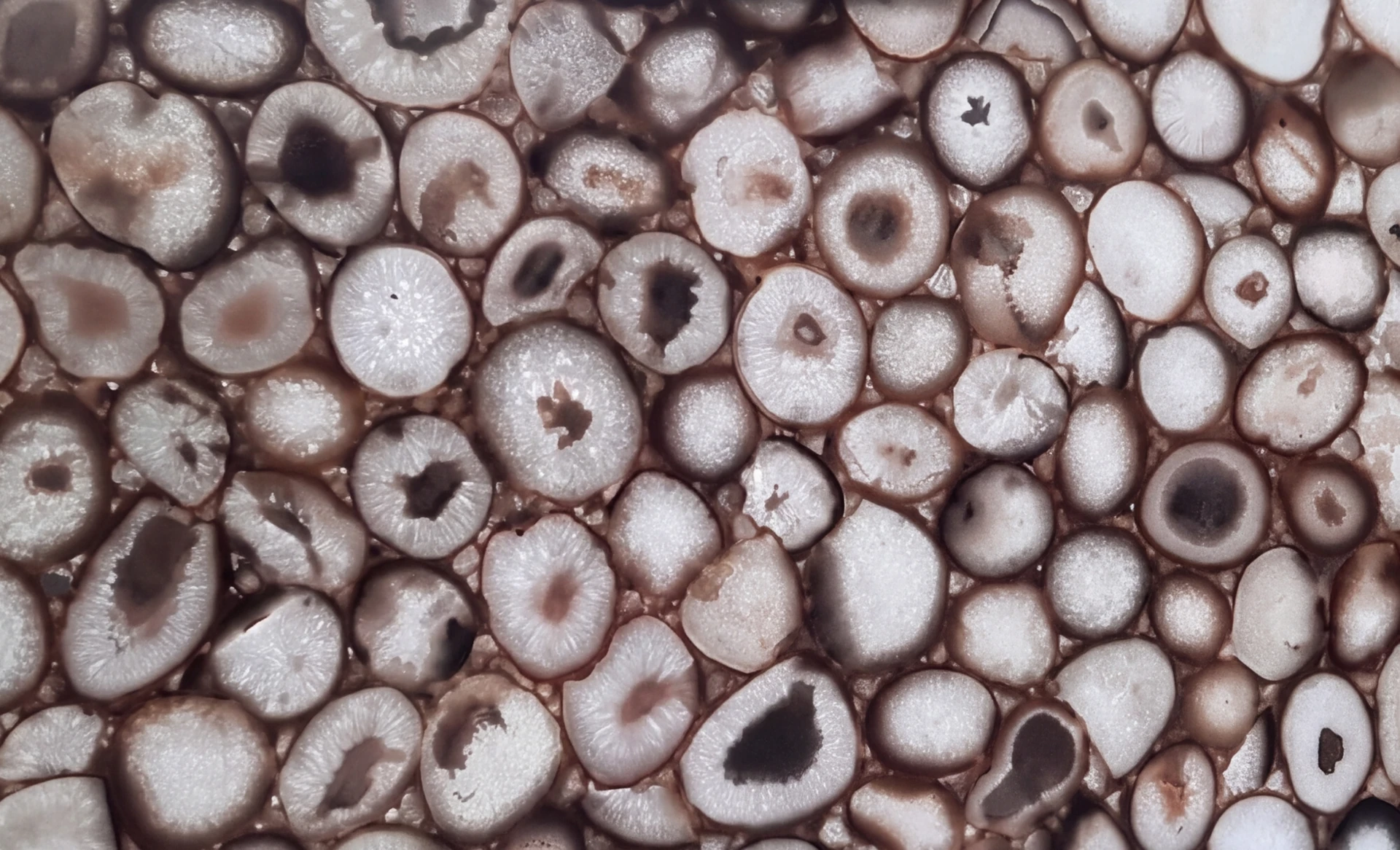 Agate White Mermer Plaka