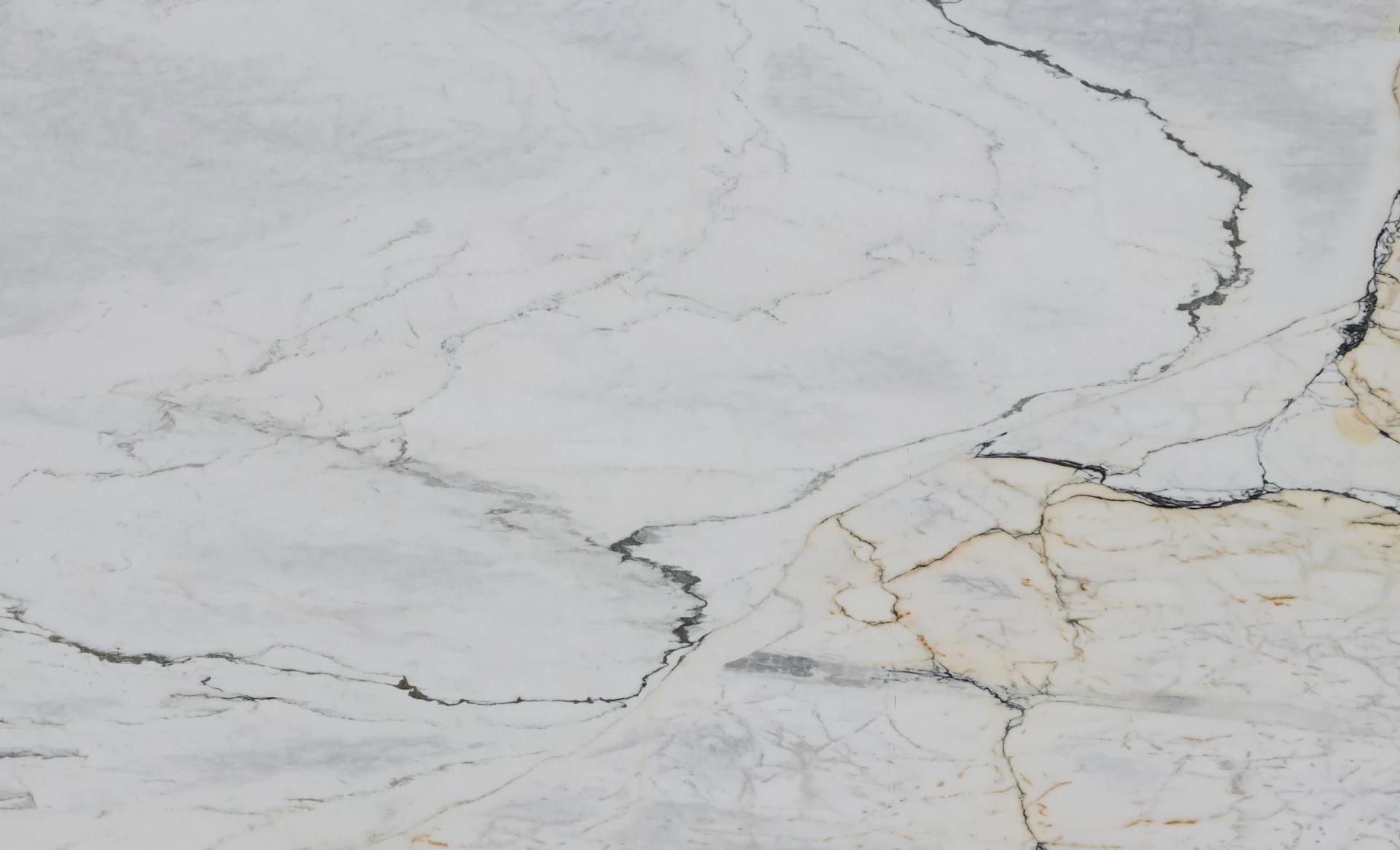 Calacatta Borghini Marble Slab