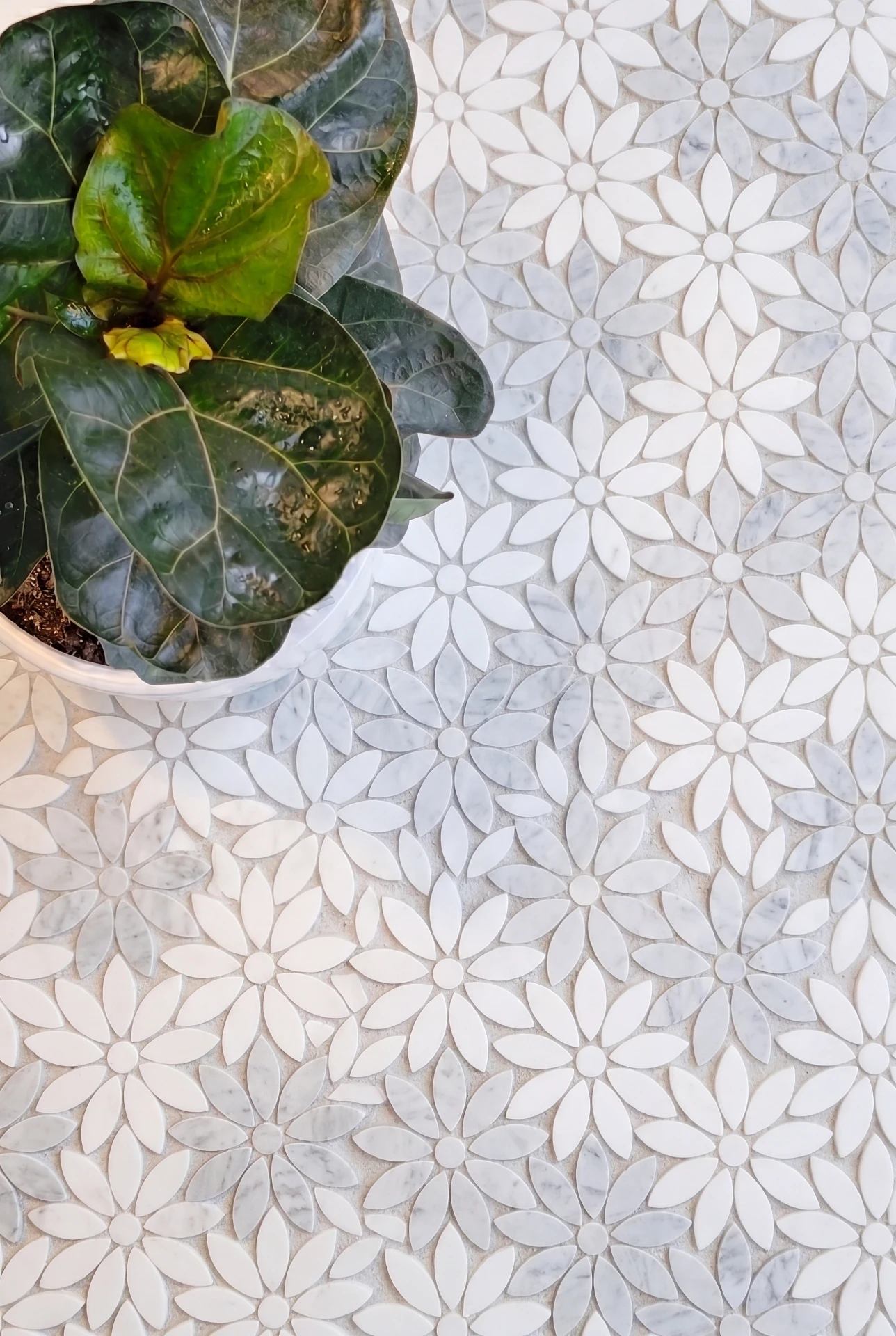 Mosaic References 65