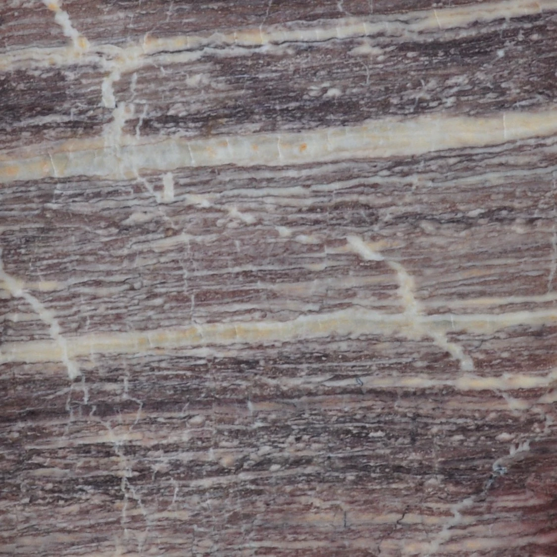 Blackberry Mermer Vein Cut