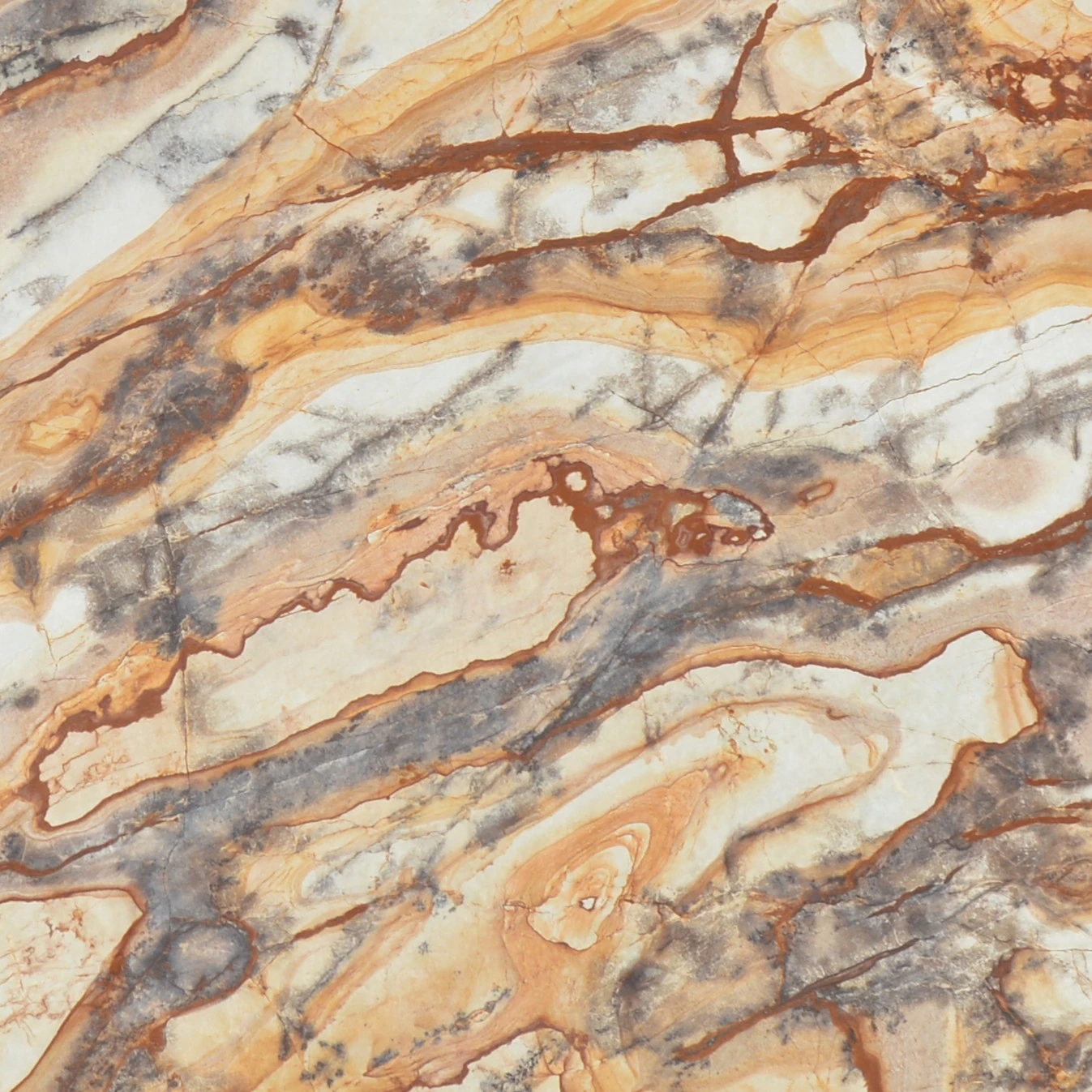 Petrified Wood Marble