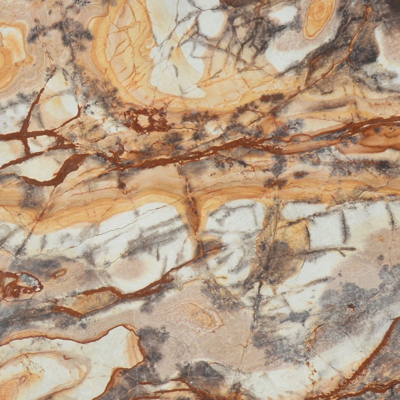 Petrified Wood Marble thumbnail 2