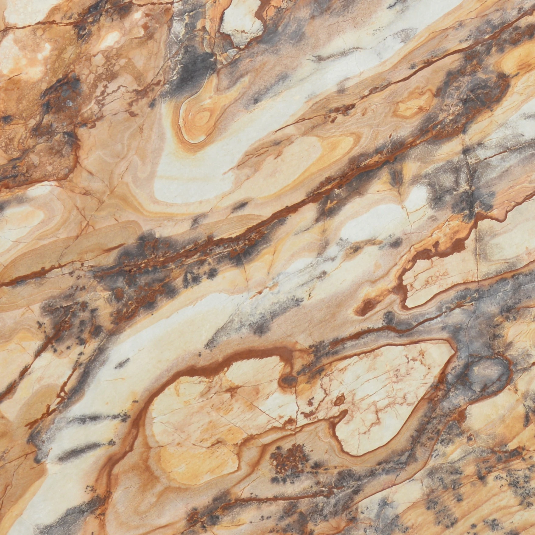 Petrified Wood Marble thumbnail 3