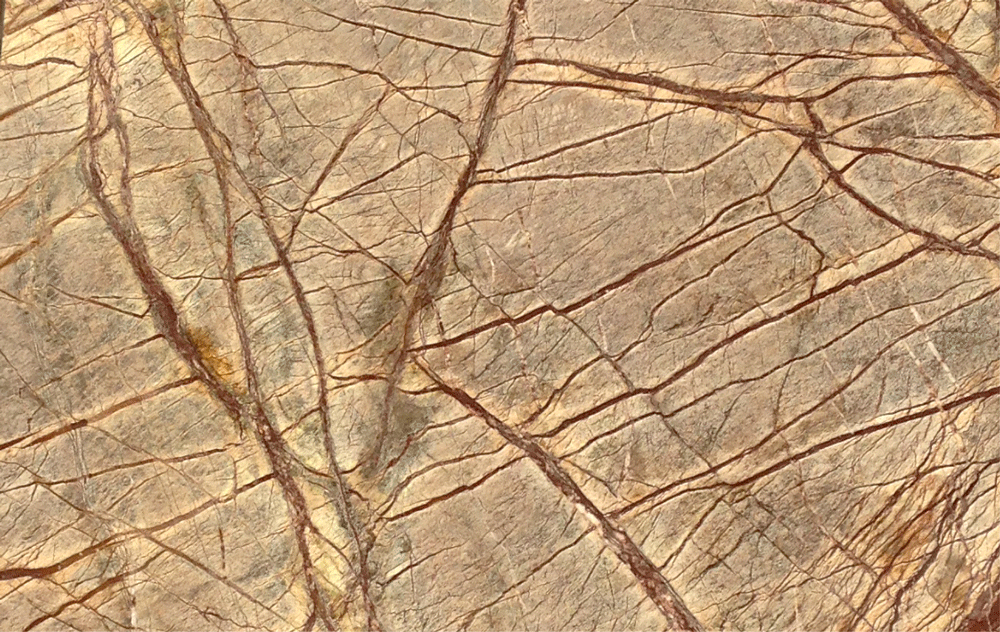 Rainforest Brown Mermer