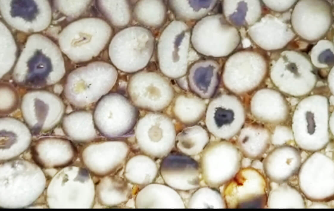 Agate White Mermer