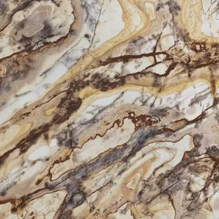 Petrified Wood (Pierre Semi-Précieuse) thumbnail 2