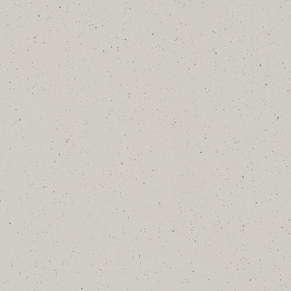 Frozen Terra Plan de travail en quartz | Caesarstone