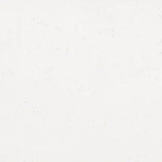 Carola Quartz Countertop | Belenco