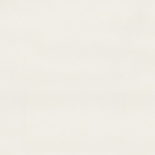 White Shimmer Plan de travail en quartz | Caesarstone