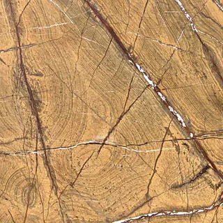 Rainforest Brown Marble thumbnail 2