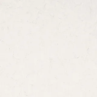 Frosty Carrina Quarz-Arbeitsplatte | Caesarstone