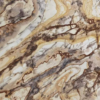 Petrified Wood Marble