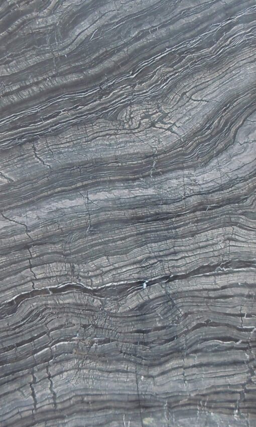 ⁦رخام سيلفر ويف (Silver Wave)⁩ - الصورة ⁦2⁩