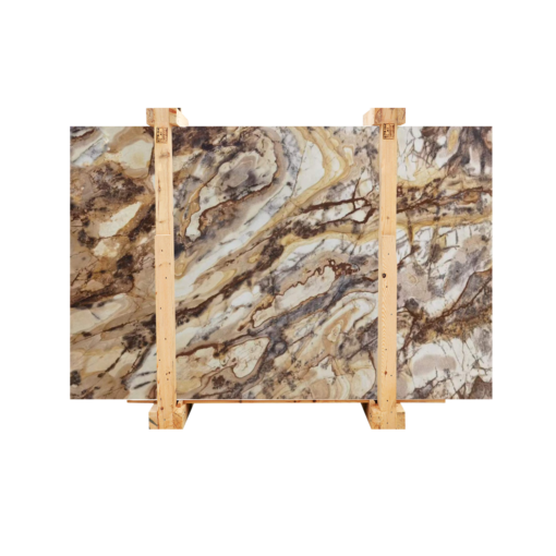 petrified wood marble - efesusstone mermer